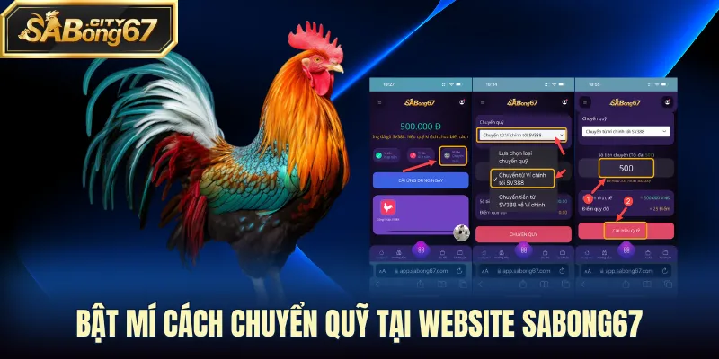 Bật mí cách chuyển quỹ tại website Sabong67