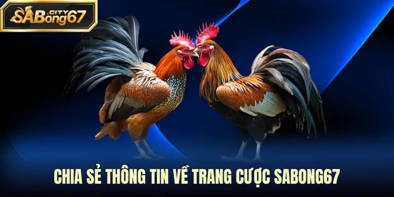 Chia sẻ thông tin về trang cược Sabong67