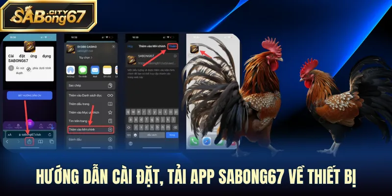 Hướng dẫn cài đặt, tải app Sabong67 về thiết bị