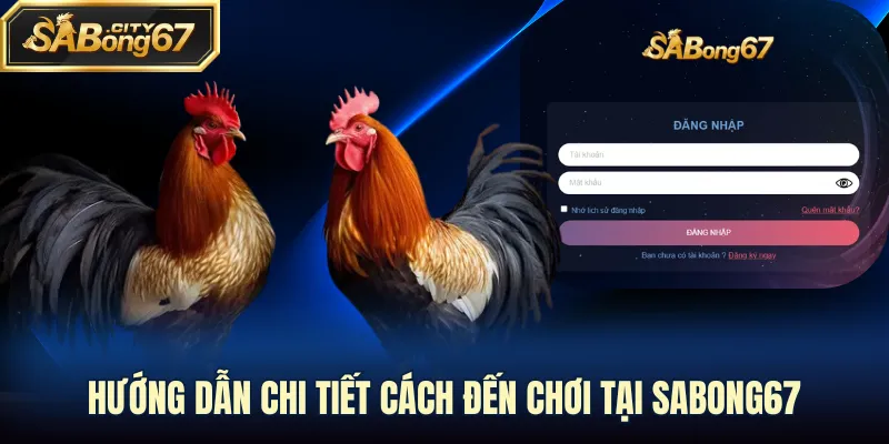 Hướng dẫn chi tiết cách đến chơi tại Sabong67